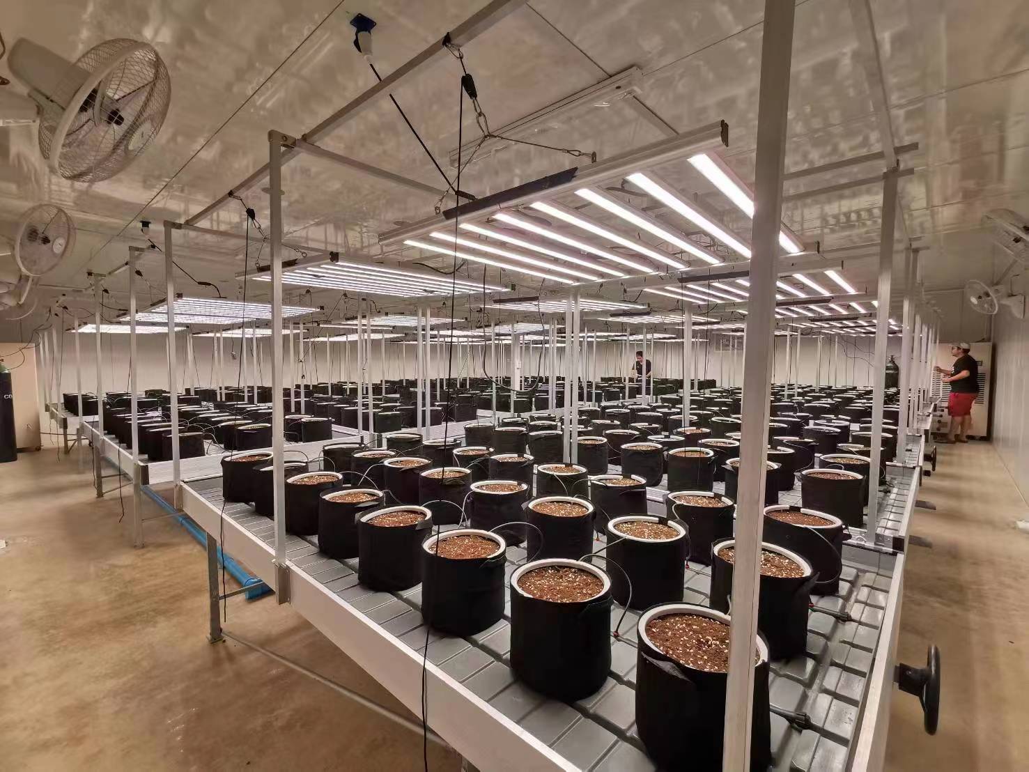 Proyecto HortiBloom - Cultivo con tecnología LED avanzada